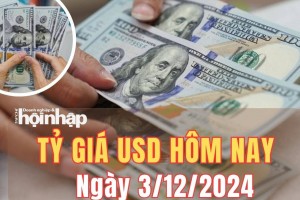 Tỷ giá USD hôm nay 3/12/2024: Đồng USD thế giới tăng 0,65 %, đạt mức 106,39 điểm