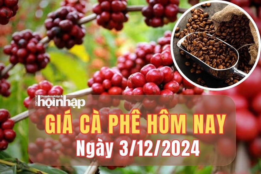 Giá cà phê hôm nay 3/12/2024: Giá cà phê hôm nay 3/12/2024: