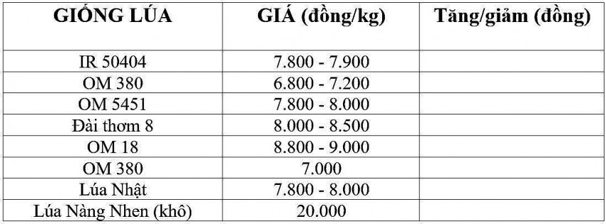 Giá lúa gạo hôm nay 3/12/2024: Giá lúa gạo hôm nay 3/12/2024: