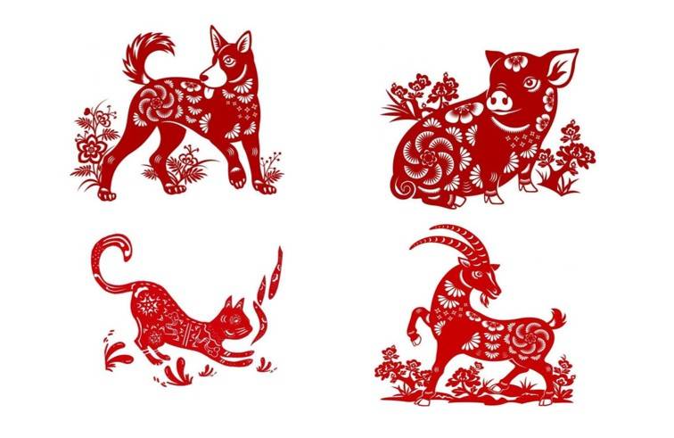 Tử vi - Vận số ngày 05/12/2024: Các tuổi Tuất, Hợi, Mão, Mùi được cát tinh che trở, sự hỗ trợ của Quý Nhân, công việc thuận lợi