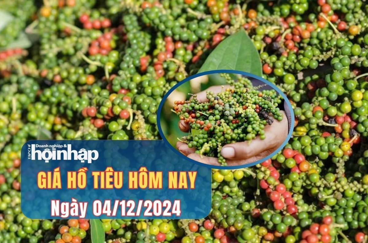 Giá tiêu hôm nay 04/12: Giá tiêu trong nước bất ngờ giảm mạnh