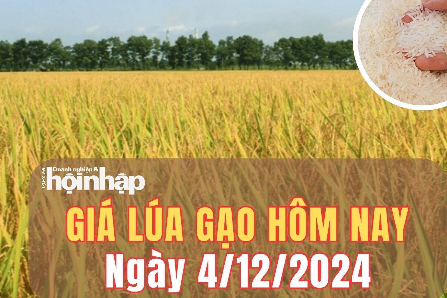 Giá lúa gạo hôm nay 4/12/2024: Giá lúa gạo tăng 50 - 400 đồng/kg