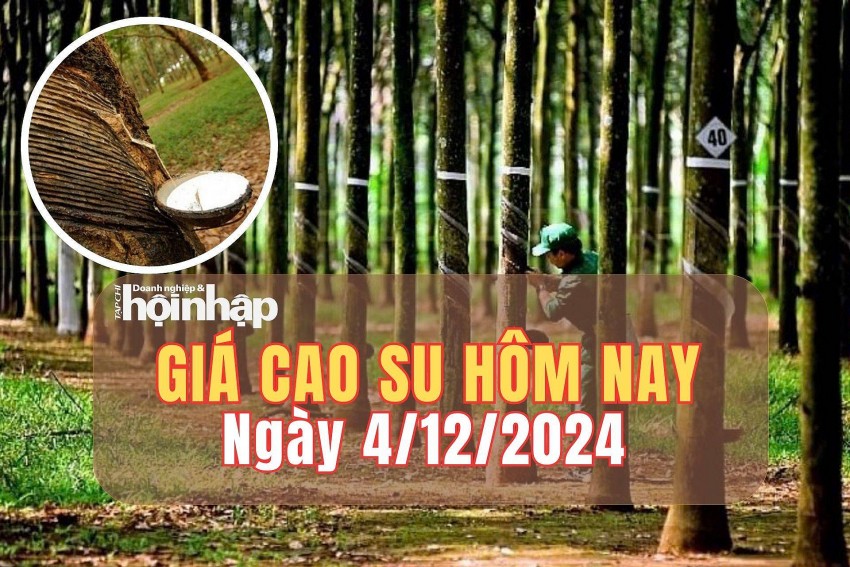 Giá cao su hôm nay 4/12/2024: Giá cao su hôm nay 4/12/2024: