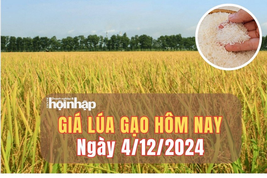 Giá lúa gạo hôm nay 4/12/2024: Giá lúa gạo hôm nay 4/12/2024: