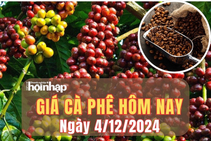 Giá cà phê hôm nay 4/12/2024: Giá cà phê hôm nay 4/12/2024: