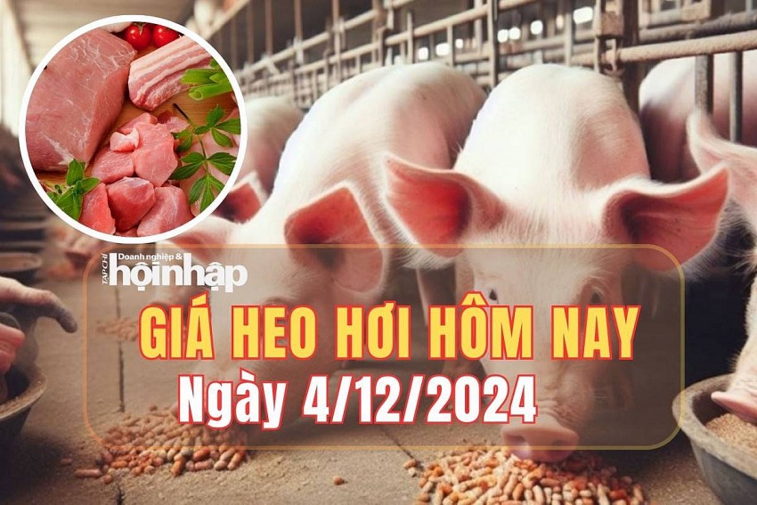 Giá heo hơi hôm nay 4/12/2024: