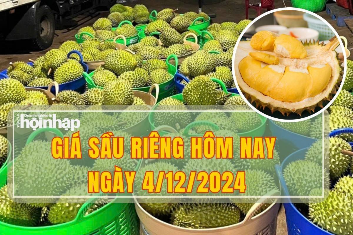 Giá sầu riêng hôm nay 4/12: Sầu riêng Thái giá cả biến động trái chiều, sầu riêng Ri6 giữ giá ổn định