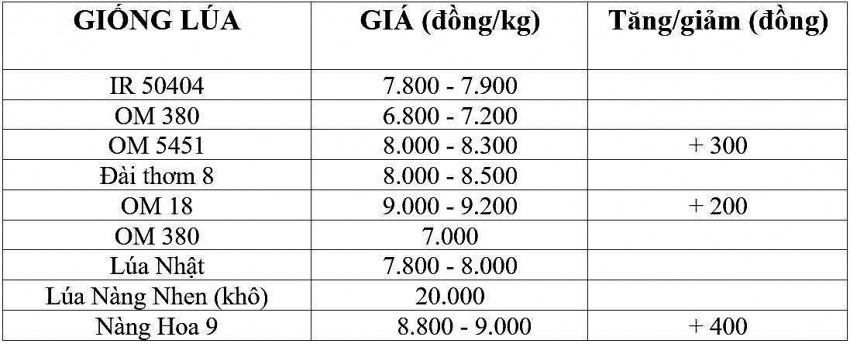 Giá lúa gạo hôm nay 4/12/2024: Giá lúa gạo hôm nay 4/12/2024: