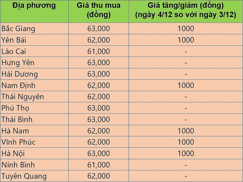 Giá heo hơi hôm nay 4/12/2024: