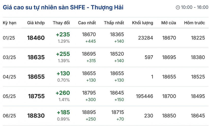 Giá cao su hôm nay 4/12/2024: Giá cao su hôm nay 4/12/2024: