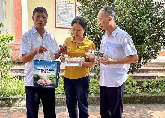 Thúc đẩy phát triển kinh tế nông thôn ở Phú Thọ