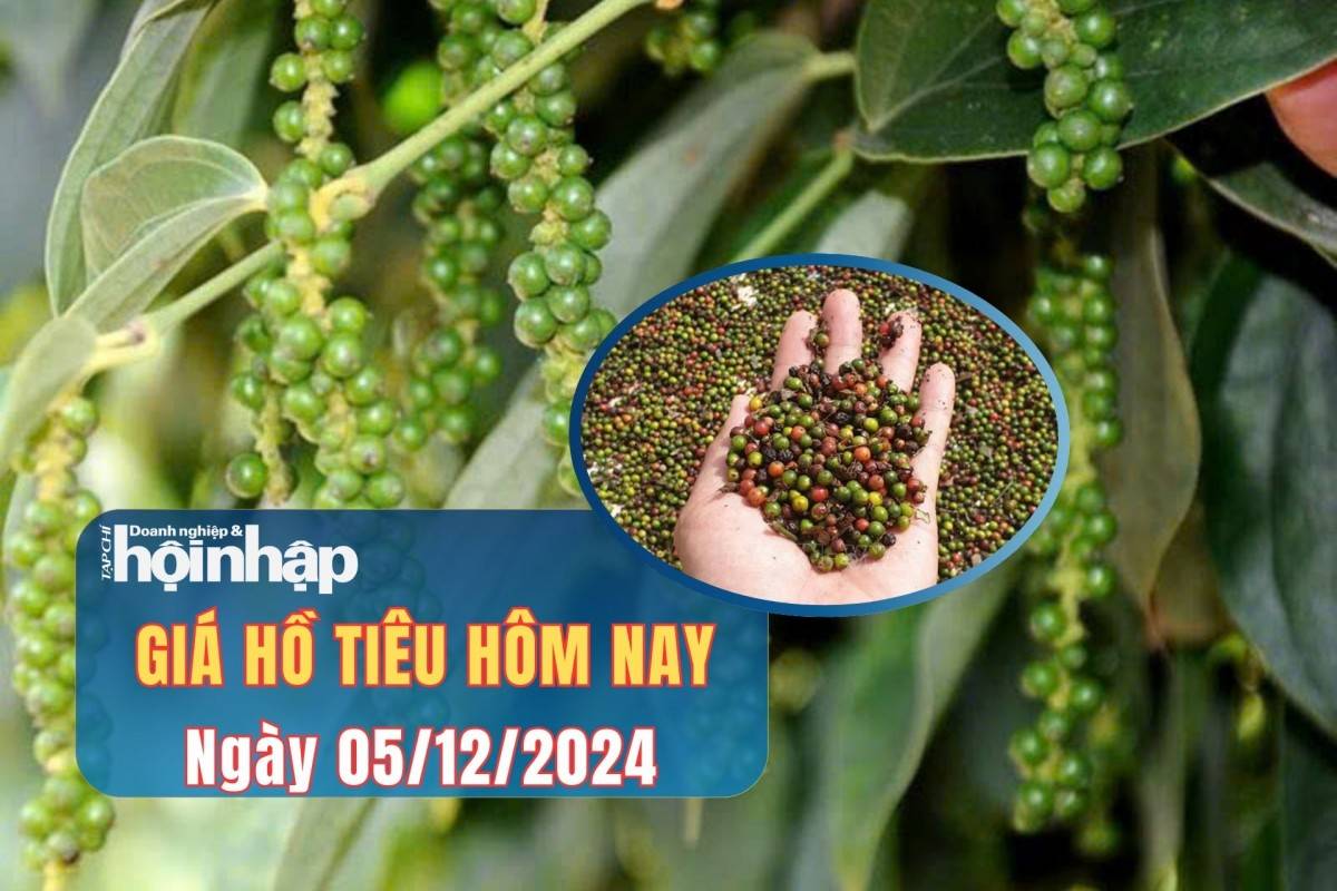 Giá tiêu hôm nay 05/12 Giá tiêu hôm nay 05/12