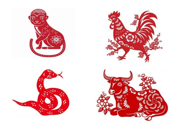 Tử vi - Vận số ngày 07/12/2024: Các tuổi Thân, Dậu, Tỵ, Sửu, đón nhận tin vui, gặp nhiều may mắn, công việc thuận lợi