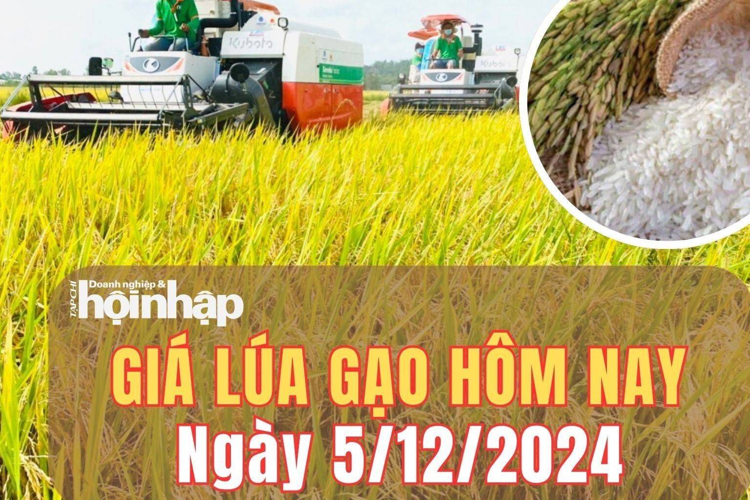 Giá lúa gạo hôm nay 5/12/2024: Giá gạo xuất khẩu giảm nhẹ 2 - 3 USD/tấn