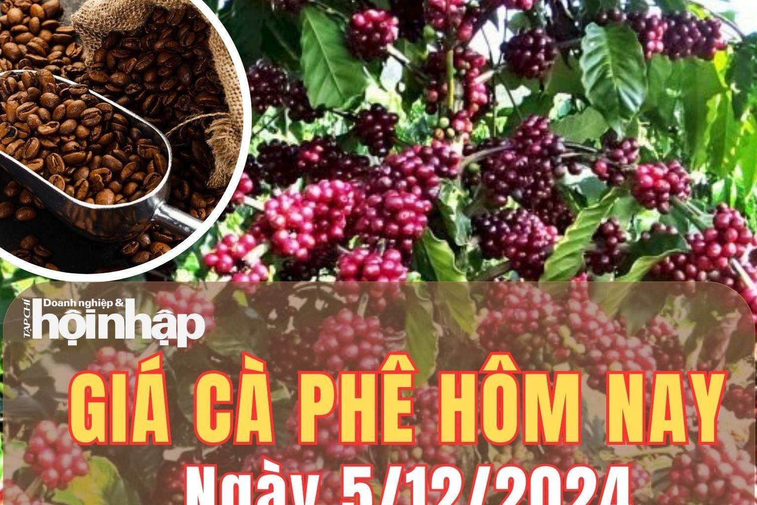 Giá cà phê hôm nay 5/12/2024: Giá cà phê trong nước tiếp tục giảm từ 3.500 - 4.000 đồng/kg