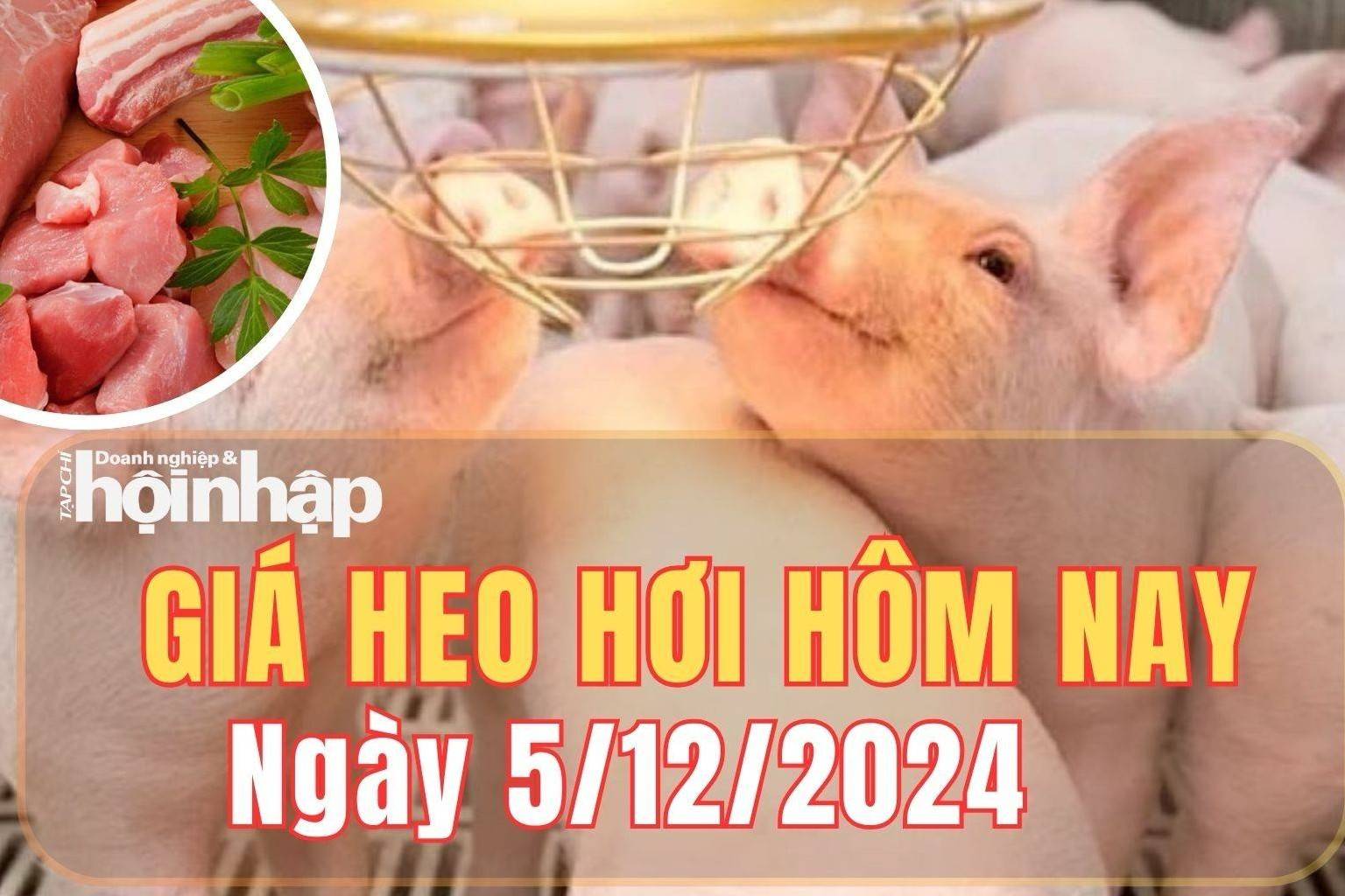 Giá heo hơi hôm nay 5/12/2024: Tại miền Bắc và miền Trung, giá heo hơi tiếp tục tăng 1.000 đồng/kg