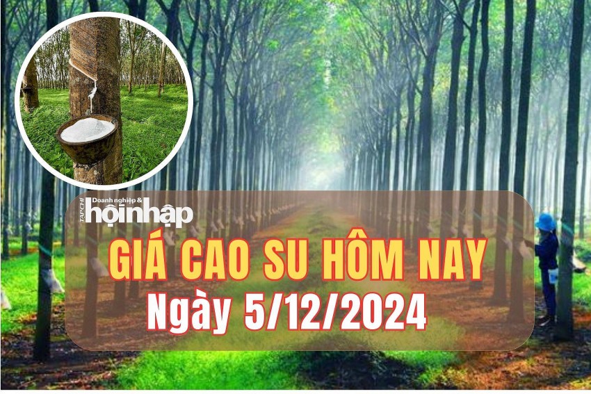 Giá cao su hôm nay 5/12/2024: Giá cao su hôm nay 5/12/2024: