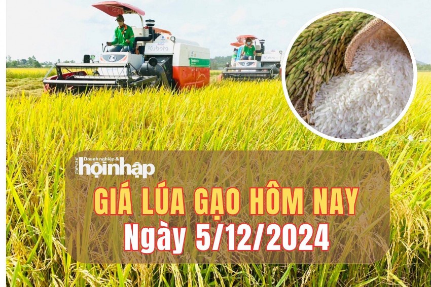 Giá lúa gạo hôm nay 5/12/2024: Giá lúa gạo hôm nay 5/12/2024: