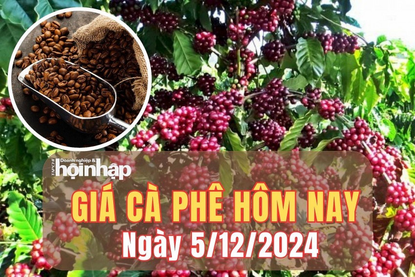 Giá cà phê hôm nay 5/12/2024: Giá cà phê hôm nay 5/12/2024:
