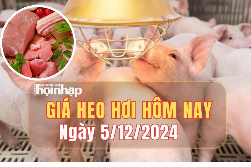 Giá heo hơi hôm nay 5/12/2024: