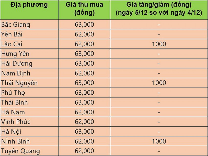 Giá heo hơi hôm nay 5/12/2024: