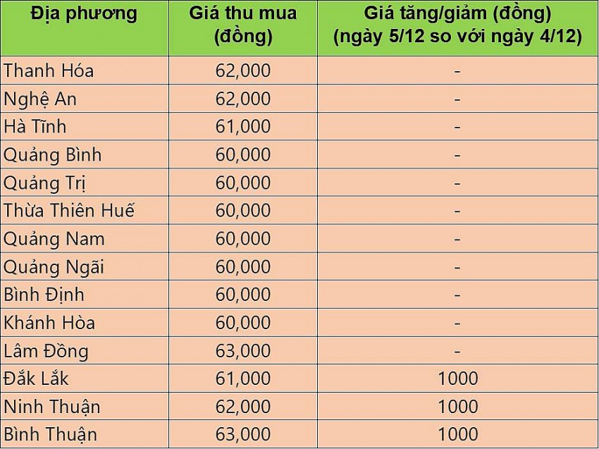 Giá heo hơi hôm nay 5/12/2024: