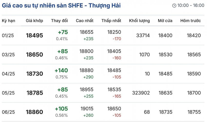 Giá cao su hôm nay 5/12/2024: Giá cao su hôm nay 5/12/2024:
