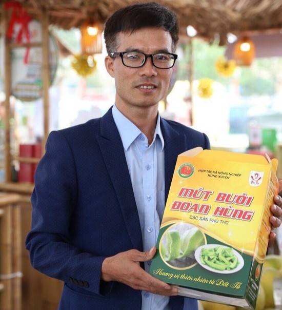 Phú Thọ: Giá trị kinh tế từ cây bưởi đạt trung bình trên 800 tỷ đồng/năm Phú Thọ: Giá trị kinh tế từ cây bưởi đạt trung bình trên 800 tỷ đồng/năm