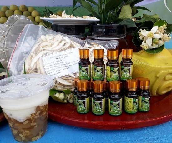 Phú Thọ: Giá trị kinh tế từ cây bưởi đạt trung bình trên 800 tỷ đồng/năm Phú Thọ: Giá trị kinh tế từ cây bưởi đạt trung bình trên 800 tỷ đồng/năm