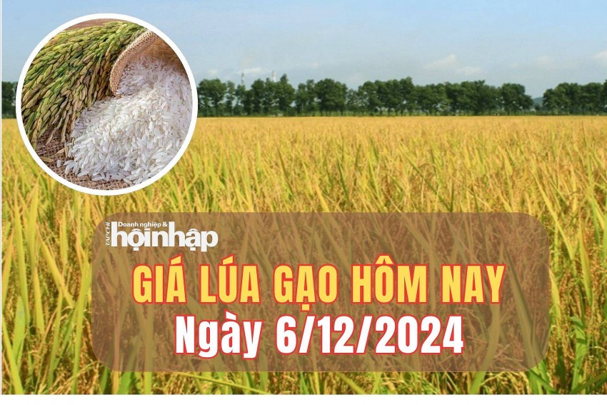 Giá lúa gạo hôm nay 6/12/2024: Giá lúa gạo hôm nay 6/12/2024: