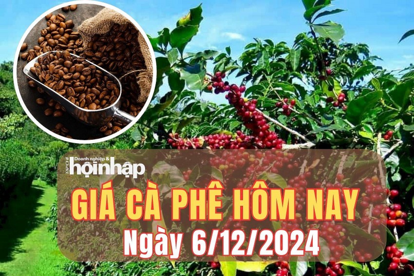 Giá cà phê hôm nay 6/12/2024: Giá cà phê hôm nay 6/12/2024: