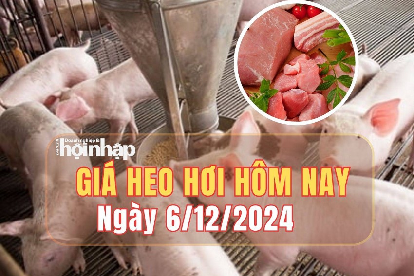 Giá heo hơi hôm nay 6/12/2024: