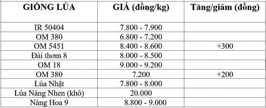 Giá lúa gạo hôm nay 6/12/2024: Giá lúa gạo hôm nay 6/12/2024: