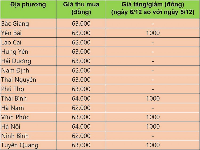 Giá heo hơi hôm nay 6/12/2024: