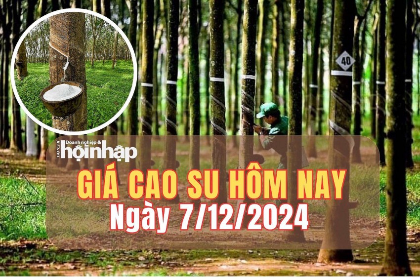 Giá cao su hôm nay 7/12/2024: Giá cao su hôm nay 7/12/2024: