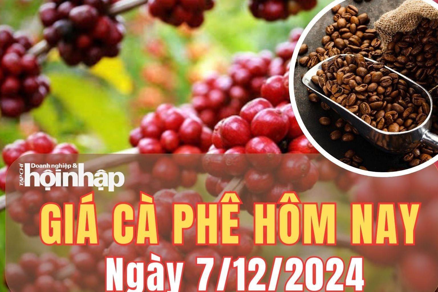 Giá cà phê hôm nay 7/12/2024: Giá cà phê trong nước và thế giới tiếp tục tăng mạnh