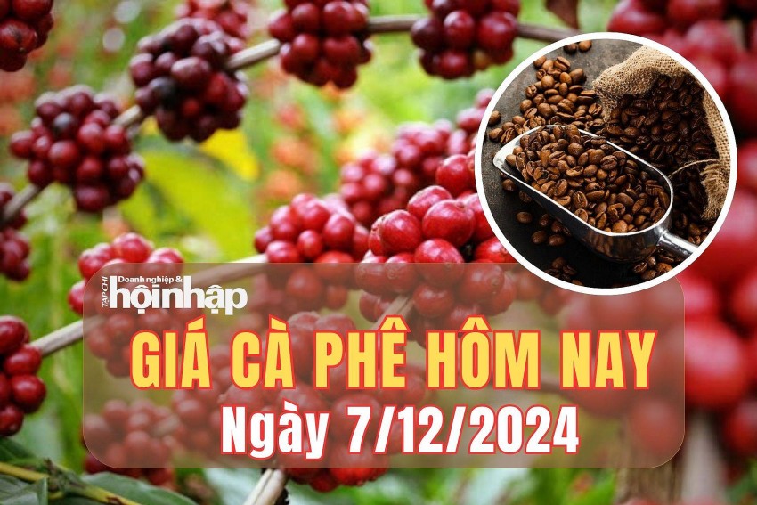 Giá cà phê hôm nay 7/12/2024: Giá cà phê hôm nay 7/12/2024: