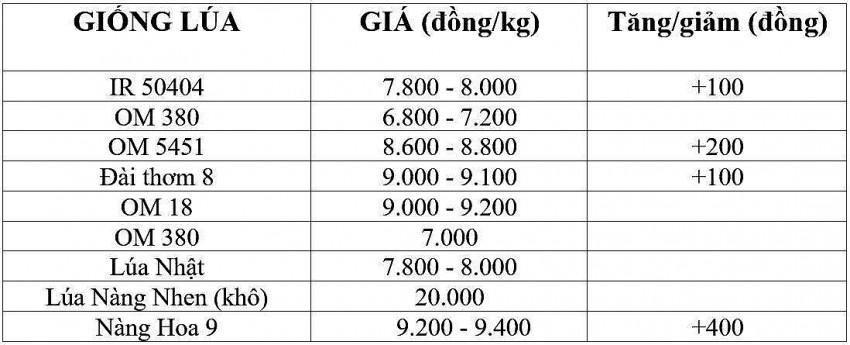 Giá lúa gạo hôm nay 7/12/2024: Giá lúa gạo hôm nay 7/12/2024: