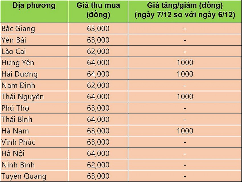 Giá heo hơi hôm nay 7/12/2024: