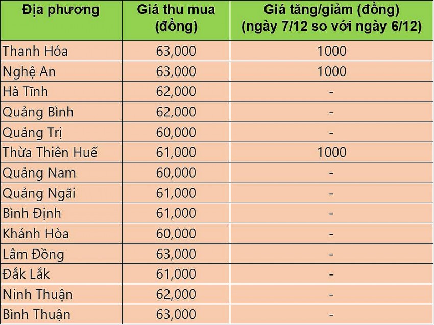 Giá heo hơi hôm nay 7/12/2024: