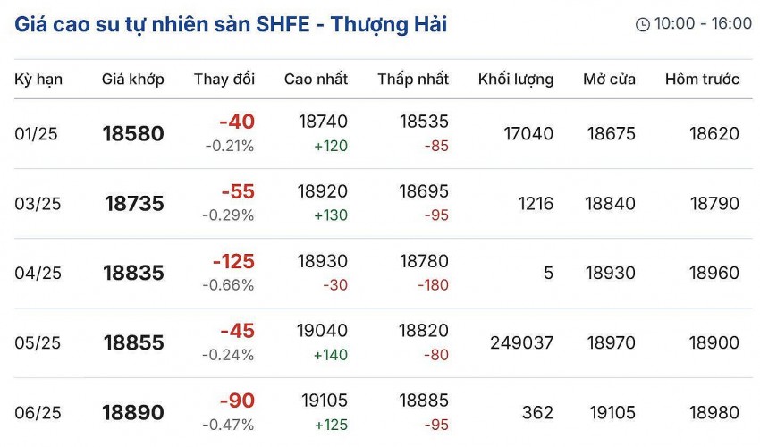 Giá cao su hôm nay 7/12/2024: Giá cao su hôm nay 7/12/2024: