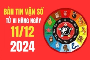 Tử vi - Vận số ngày 11/12/2024:  Tuổi nào sẽ có vận trình tài chính vượng sắc, công việc thuận lợi, may mắn?