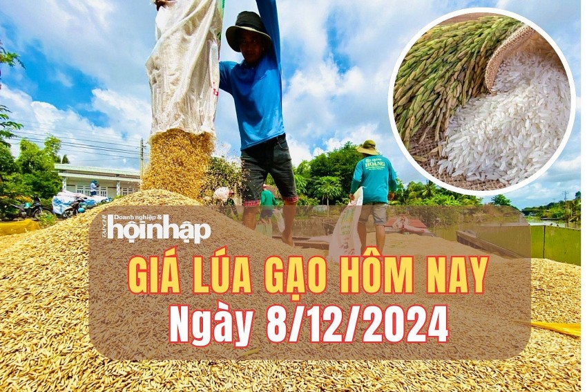 Giá lúa gạo hôm nay 8/12/2024: Giá lúa gạo hôm nay 8/12/2024:
