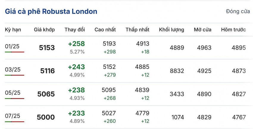 Giá cà phê hôm nay 8/12/2024:
