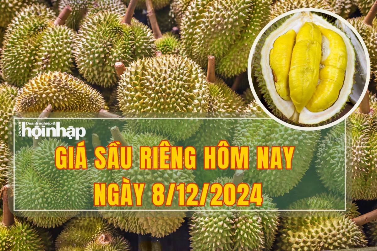 Giá sầu riêng hôm nay 8/12: Sầu riêng Ri6 và sầu riêng Thái đồng loạt tăng giá nhẹ