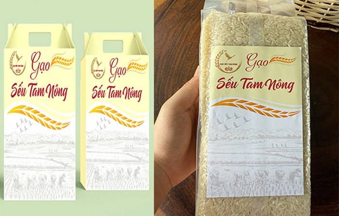 “Gạo Sếu Tam Nông” được sản xuất từ vùng lúa sinh thái trên địa bàn huyện