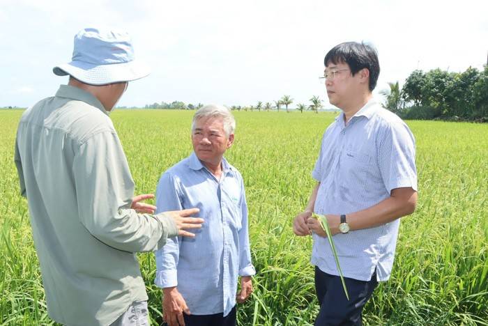 Bí thư Tỉnh ủy Lê Quốc Phong (bìa phải) đến thăm mô hình lúa sinh thái của nông dân Nguyễn Văn Mẫn. Ảnh tư liệu