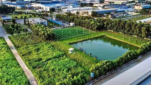 TP. Hồ Chí Minh phát triển xanh đến năm 2030 tầm nhìn 2050 để tăng trưởng bền vững