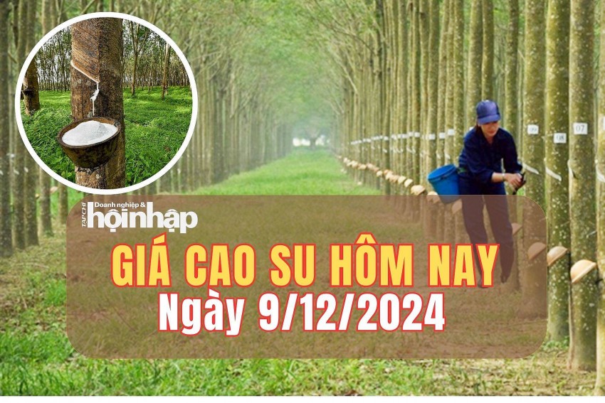 Giá cao su hôm nay 9/12/2024: Giá cao su hôm nay 9/12/2024: