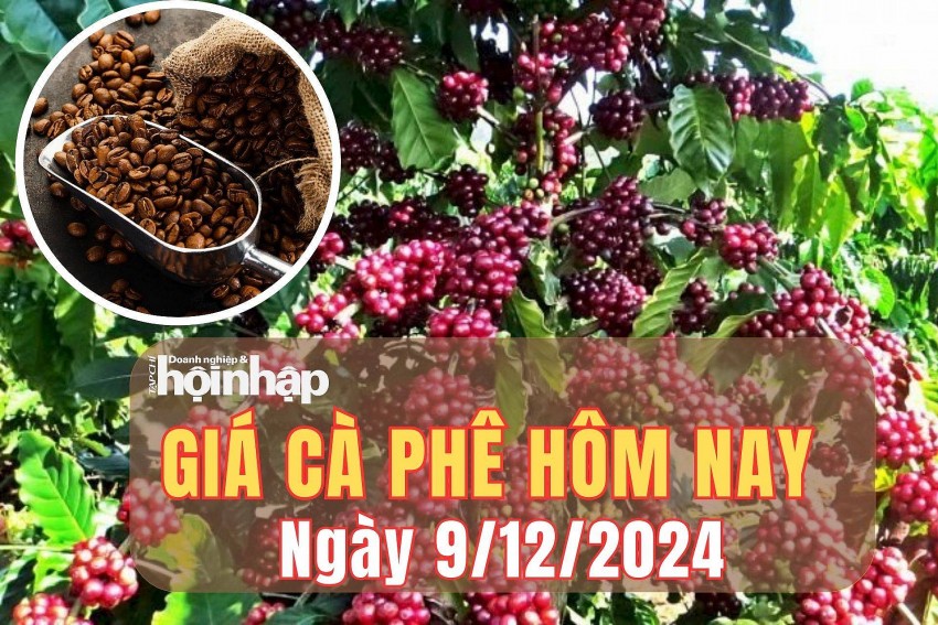 Giá cà phê hôm nay 9/12/2024: Giá cà phê hôm nay 9/12/2024: